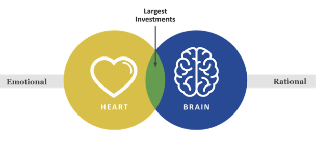 Graphic illustrating that large investments are both an emotional and rational act