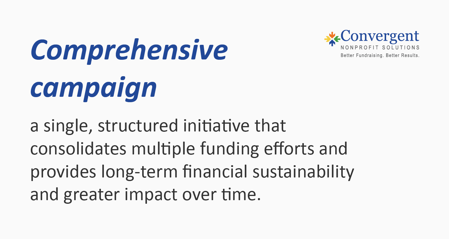Definition of a comprehensive campaign, also detailed below