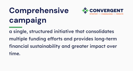 Definition of a comprehensive campaign, also detailed below