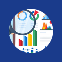 development audit button
