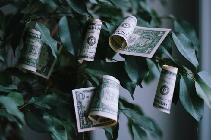 money growing on tree